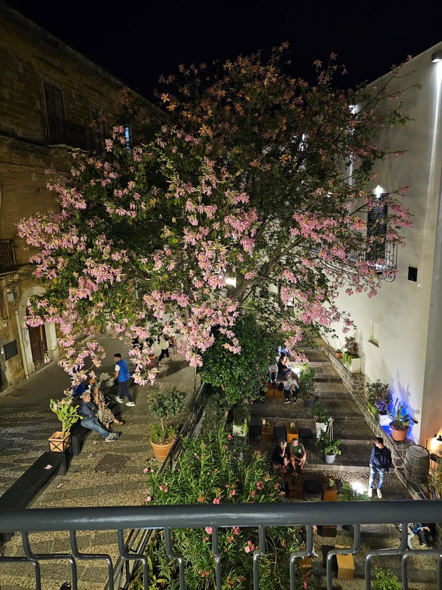 Villa Di Giorgi Apartments Center Cefalù Zewnętrze zdjęcie